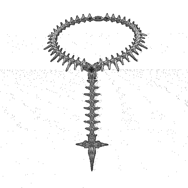 Project comte ロザリオ Rosary Chain – Project Comte