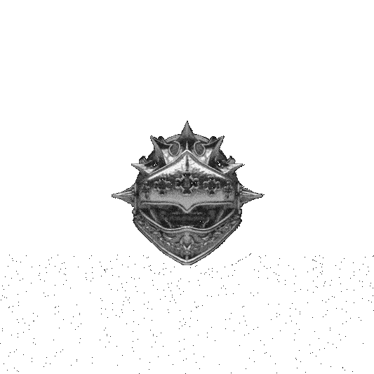Knights Ring