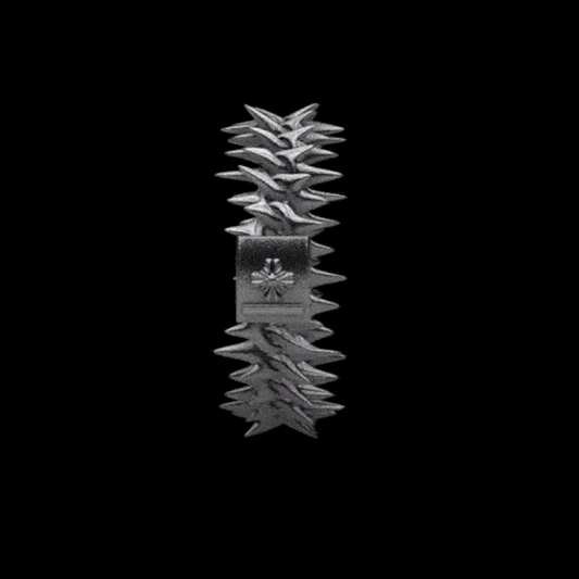 Dragon Spine Bracelet v1